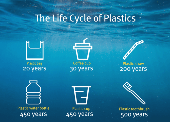 Live Cycle Plastics