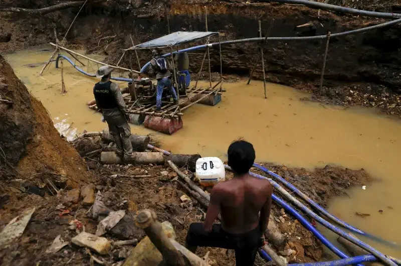 Amazon Illegal Gold Mining