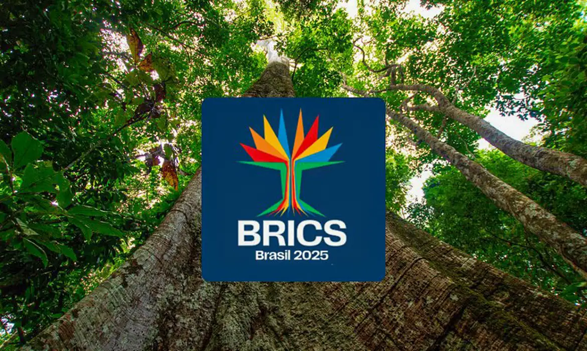 Flop op de BRICS-top Rio