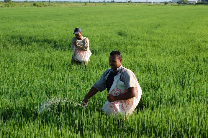Water Risks to the Global Food System