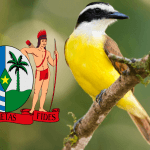 Eyes on Suriname in 2021 en toetreding in 2022