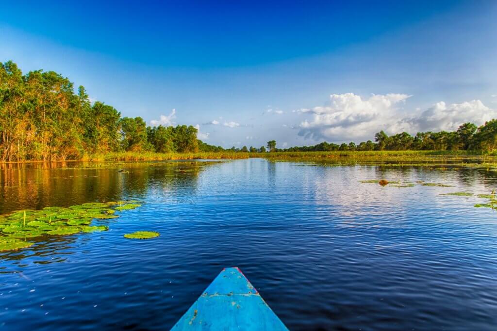 Suriname Pantano