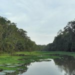 Funds for Sustainable living in Suriname Forest